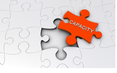 Enterprise Governance & Capacity Building