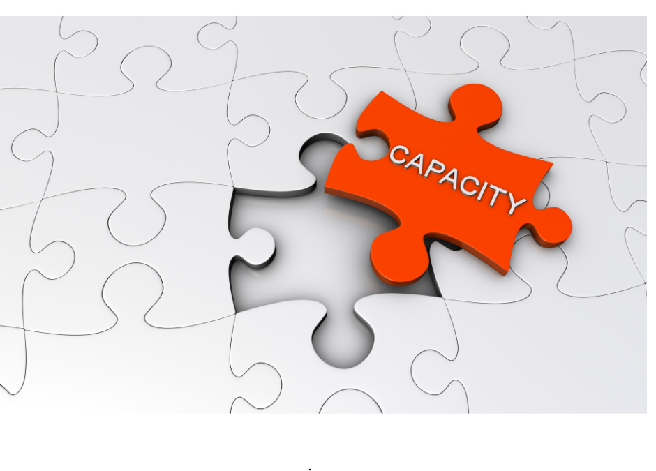 Enterprise Governance & Capacity Building